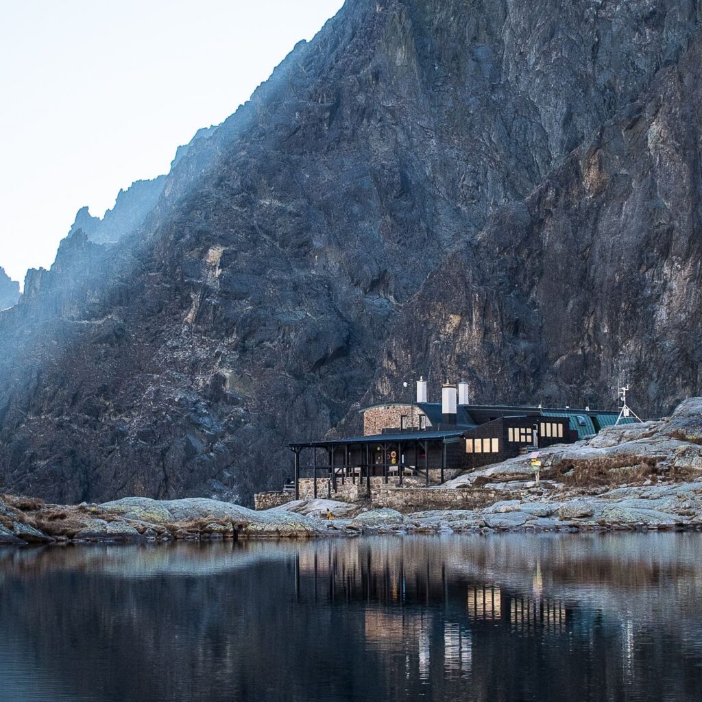 teryna